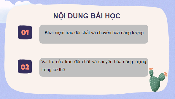 Giáo án điện tử KHTN 7 Cánh diều Bài 17: Vai của trao đổi chất và chuyển hoá năng lượng ở sinh vật | PPT Khoa học tự nhiên 7