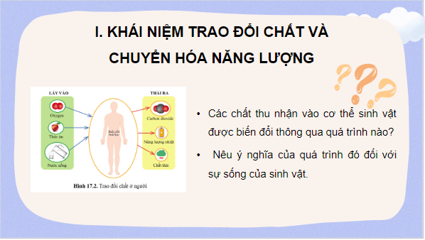 Giáo án điện tử KHTN 7 Cánh diều Bài 17: Vai của trao đổi chất và chuyển hoá năng lượng ở sinh vật | PPT Khoa học tự nhiên 7