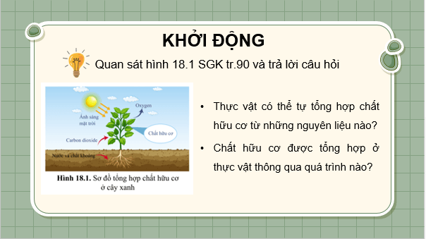 Giáo án điện tử KHTN 7 Cánh diều Bài 18: Quang hợp ở thực vật | PPT Khoa học tự nhiên 7