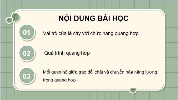 Giáo án điện tử KHTN 7 Cánh diều Bài 18: Quang hợp ở thực vật | PPT Khoa học tự nhiên 7