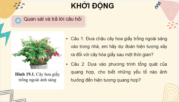 Giáo án điện tử KHTN 7 Cánh diều Bài 19: Các yếu tố ảnh hưởng đến quang hợp | PPT Khoa học tự nhiên 7