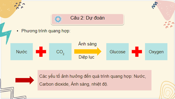 Giáo án điện tử KHTN 7 Cánh diều Bài 19: Các yếu tố ảnh hưởng đến quang hợp | PPT Khoa học tự nhiên 7