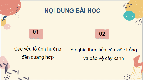 Giáo án điện tử KHTN 7 Cánh diều Bài 19: Các yếu tố ảnh hưởng đến quang hợp | PPT Khoa học tự nhiên 7