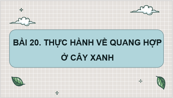 Giáo án điện tử KHTN 7 Cánh diều Bài 20: Thực hành về quang hợp ở cây xanh | PPT Khoa học tự nhiên 7