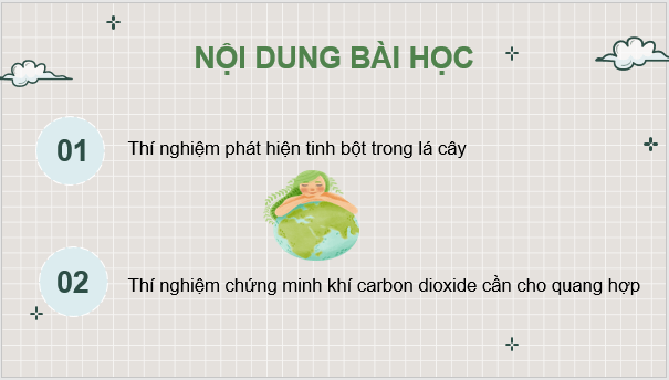 Giáo án điện tử KHTN 7 Cánh diều Bài 20: Thực hành về quang hợp ở cây xanh | PPT Khoa học tự nhiên 7