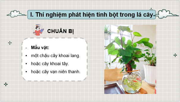 Giáo án điện tử KHTN 7 Cánh diều Bài 20: Thực hành về quang hợp ở cây xanh | PPT Khoa học tự nhiên 7