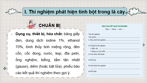 Giáo án điện tử KHTN 7 Cánh diều Bài 20: Thực hành về quang hợp ở cây xanh | PPT Khoa học tự nhiên 7