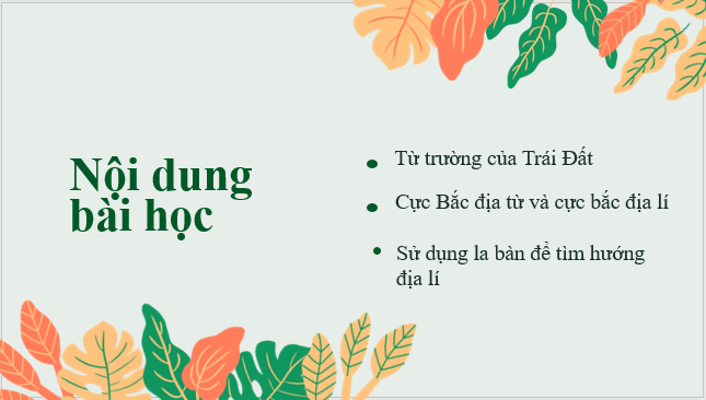 Giáo án điện tử KHTN 7 Chân trời sáng tạo Bài 20: Từ trường Trái Đất – Sử dụng la bàn | PPT Khoa học tự nhiên 7