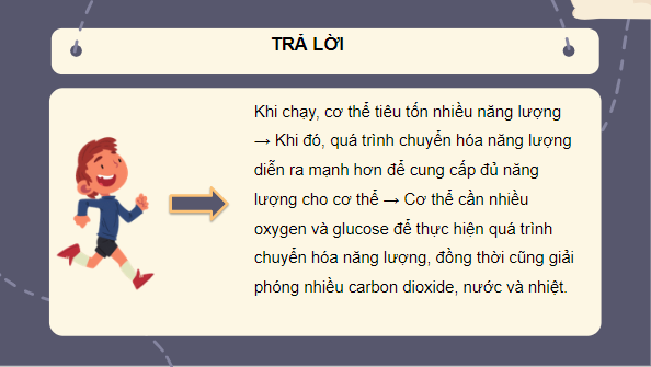 Giáo án điện tử KHTN 7 Cánh diều Bài 21: Hô hấp tế bào | PPT Khoa học tự nhiên 7