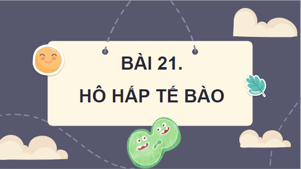 Giáo án điện tử KHTN 7 Cánh diều Bài 21: Hô hấp tế bào | PPT Khoa học tự nhiên 7