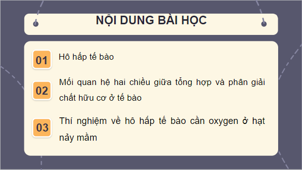 Giáo án điện tử KHTN 7 Cánh diều Bài 21: Hô hấp tế bào | PPT Khoa học tự nhiên 7