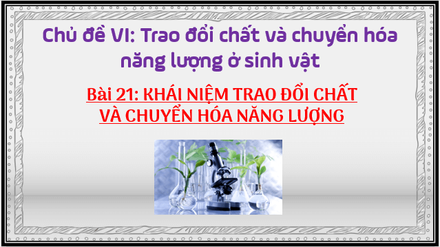 Giáo án điện tử KHTN 7 Kết nối tri thức Bài 21: Khái quát về trao đổi chất và chuyển hóa năng lượng | PPT Khoa học tự nhiên 7