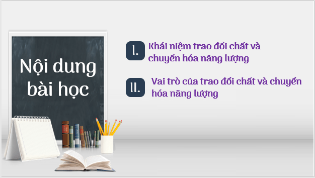 Giáo án điện tử KHTN 7 Kết nối tri thức Bài 21: Khái quát về trao đổi chất và chuyển hóa năng lượng | PPT Khoa học tự nhiên 7