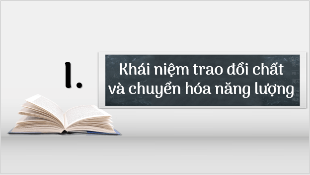 Giáo án điện tử KHTN 7 Kết nối tri thức Bài 21: Khái quát về trao đổi chất và chuyển hóa năng lượng | PPT Khoa học tự nhiên 7