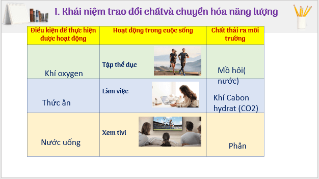 Giáo án điện tử KHTN 7 Kết nối tri thức Bài 21: Khái quát về trao đổi chất và chuyển hóa năng lượng | PPT Khoa học tự nhiên 7