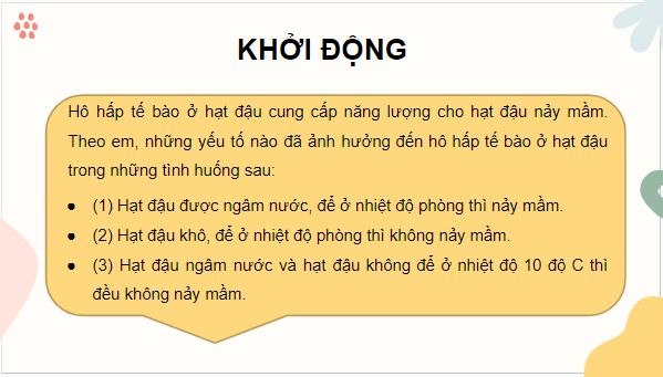 Giáo án điện tử KHTN 7 Cánh diều Bài 22: Các yếu tố ảnh hưởng đến hô hấp tế bào | PPT Khoa học tự nhiên 7