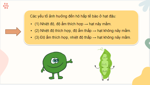 Giáo án điện tử KHTN 7 Cánh diều Bài 22: Các yếu tố ảnh hưởng đến hô hấp tế bào | PPT Khoa học tự nhiên 7