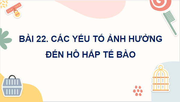 Giáo án điện tử KHTN 7 Cánh diều Bài 22: Các yếu tố ảnh hưởng đến hô hấp tế bào | PPT Khoa học tự nhiên 7