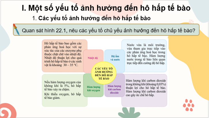 Giáo án điện tử KHTN 7 Cánh diều Bài 22: Các yếu tố ảnh hưởng đến hô hấp tế bào | PPT Khoa học tự nhiên 7