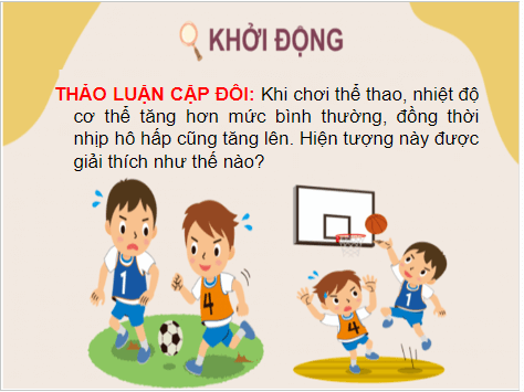 Giáo án điện tử KHTN 7 Chân trời sáng tạo Bài 22: Vai trò của trao đổi chất và chuyển hóa năng lượng của sinh vật | PPT Khoa học tự nhiên 7