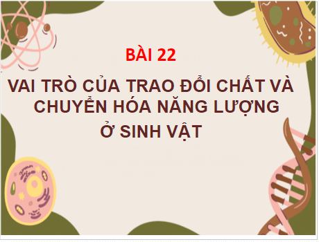 Giáo án điện tử KHTN 7 Chân trời sáng tạo Bài 22: Vai trò của trao đổi chất và chuyển hóa năng lượng của sinh vật | PPT Khoa học tự nhiên 7