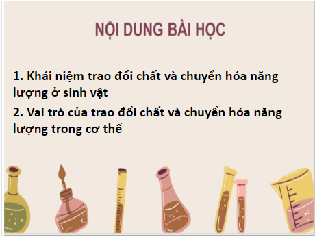 Giáo án điện tử KHTN 7 Chân trời sáng tạo Bài 22: Vai trò của trao đổi chất và chuyển hóa năng lượng của sinh vật | PPT Khoa học tự nhiên 7