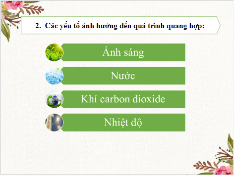 Giáo án điện tử KHTN 7 Kết nối tri thức Bài 23: Một số yếu tố ảnh hưởng đến quang hợp | PPT Khoa học tự nhiên 7