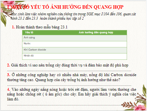 Giáo án điện tử KHTN 7 Kết nối tri thức Bài 23: Một số yếu tố ảnh hưởng đến quang hợp | PPT Khoa học tự nhiên 7