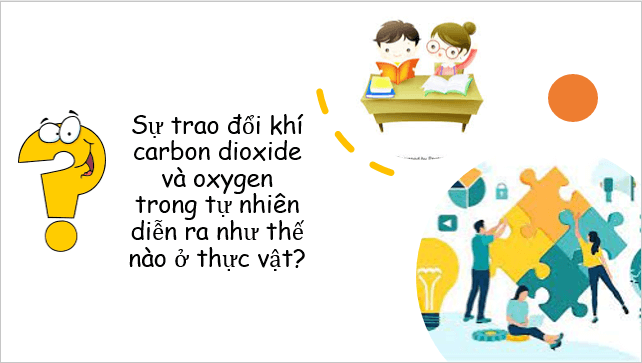 Giáo án điện tử KHTN 7 Chân trời sáng tạo Bài 23: Quang hợp ở thực vật | PPT Khoa học tự nhiên 7