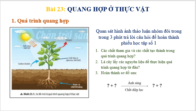 Giáo án điện tử KHTN 7 Chân trời sáng tạo Bài 23: Quang hợp ở thực vật | PPT Khoa học tự nhiên 7