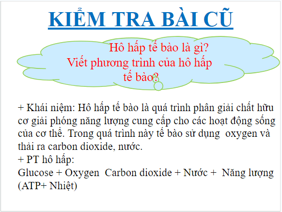 Giáo án điện tử KHTN 7 Cánh diều Bài 23: Trao đổi khí ở sinh vật | PPT Khoa học tự nhiên 7