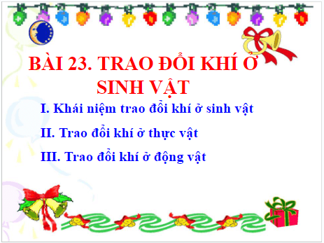 Giáo án điện tử KHTN 7 Cánh diều Bài 23: Trao đổi khí ở sinh vật | PPT Khoa học tự nhiên 7