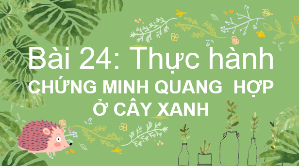 Giáo án điện tử KHTN 7 Chân trời sáng tạo Bài 24: Thực hành chứng minh quang hợp ở cây xanh | PPT Khoa học tự nhiên 7