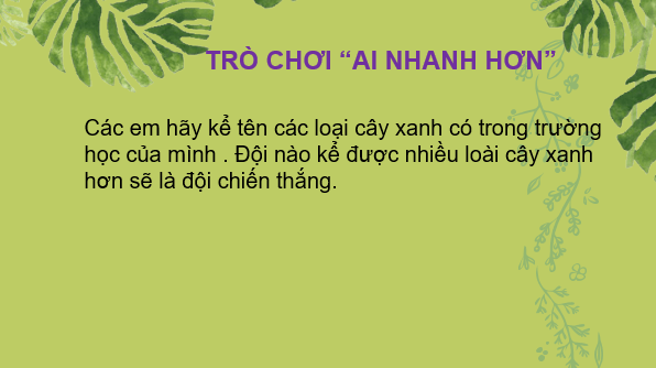 Giáo án điện tử KHTN 7 Chân trời sáng tạo Bài 24: Thực hành chứng minh quang hợp ở cây xanh | PPT Khoa học tự nhiên 7