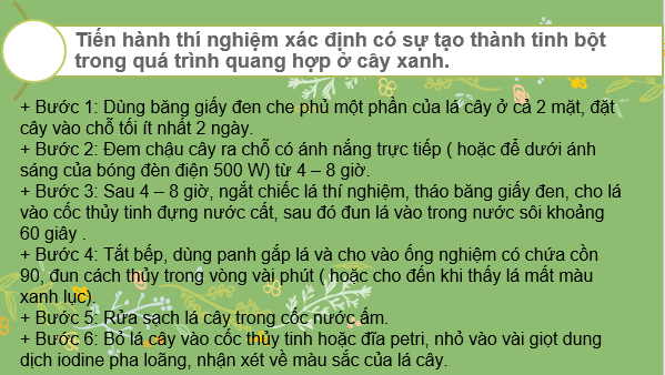 Giáo án điện tử KHTN 7 Chân trời sáng tạo Bài 24: Thực hành chứng minh quang hợp ở cây xanh | PPT Khoa học tự nhiên 7