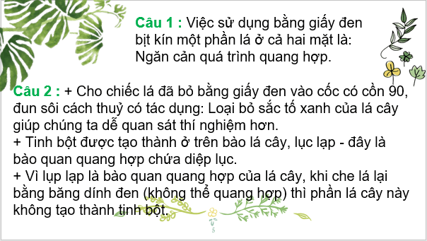 Giáo án điện tử KHTN 7 Chân trời sáng tạo Bài 24: Thực hành chứng minh quang hợp ở cây xanh | PPT Khoa học tự nhiên 7