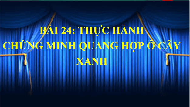 Giáo án điện tử KHTN 7 Kết nối tri thức Bài 24: Thực hành: Chứng minh quang hợp ở cây xanh | PPT Khoa học tự nhiên 7