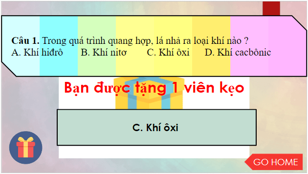 Giáo án điện tử KHTN 7 Kết nối tri thức Bài 24: Thực hành: Chứng minh quang hợp ở cây xanh | PPT Khoa học tự nhiên 7