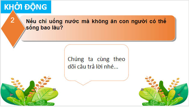 Giáo án điện tử KHTN 7 Cánh diều Bài 24: Vai trò của nước và các chất dinh dưỡng đối với cơ thể sinh vật | PPT Khoa học tự nhiên 7