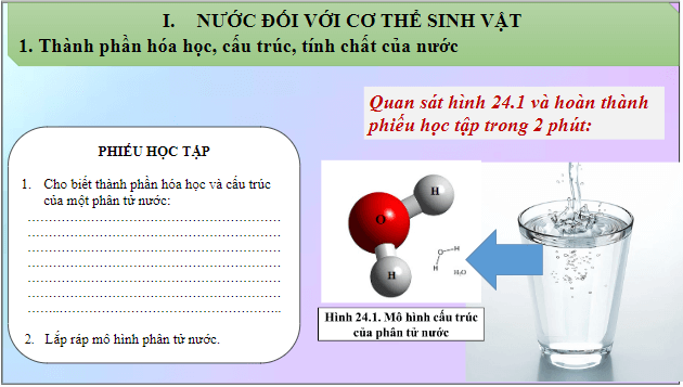 Giáo án điện tử KHTN 7 Cánh diều Bài 24: Vai trò của nước và các chất dinh dưỡng đối với cơ thể sinh vật | PPT Khoa học tự nhiên 7