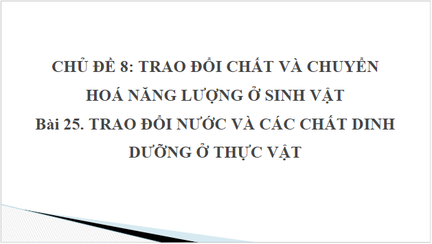 Giáo án điện tử KHTN 7 Cánh diều Bài 25: Trao đổi nước và các chất dinh dưỡng ở thực vật | PPT Khoa học tự nhiên 7