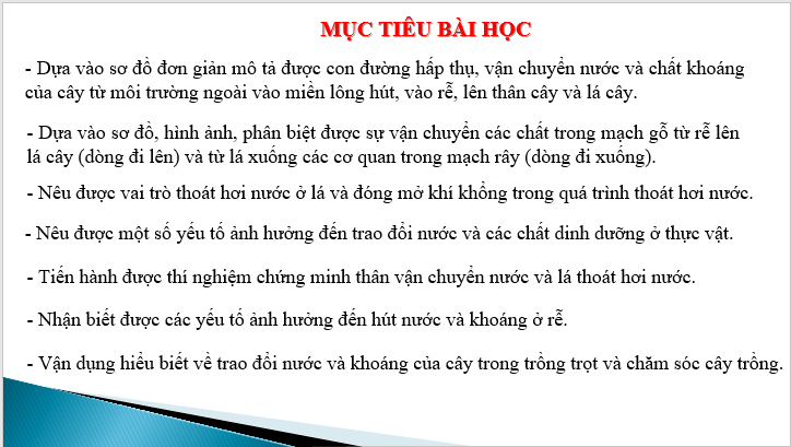 Giáo án điện tử KHTN 7 Cánh diều Bài 25: Trao đổi nước và các chất dinh dưỡng ở thực vật | PPT Khoa học tự nhiên 7