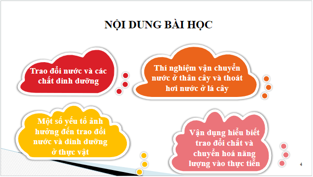 Giáo án điện tử KHTN 7 Cánh diều Bài 25: Trao đổi nước và các chất dinh dưỡng ở thực vật | PPT Khoa học tự nhiên 7