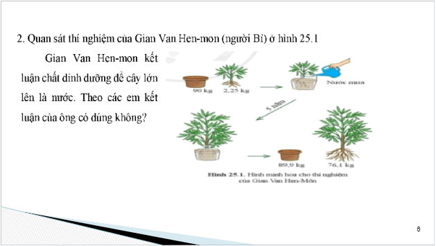 Giáo án điện tử KHTN 7 Cánh diều Bài 25: Trao đổi nước và các chất dinh dưỡng ở thực vật | PPT Khoa học tự nhiên 7