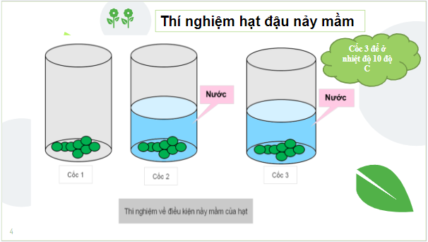 Giáo án điện tử KHTN 7 Kết nối tri thức Bài 26: Một số yếu tố ảnh hưởng đến hô hấp tế bào | PPT Khoa học tự nhiên 7