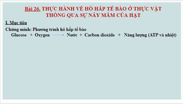 Giáo án điện tử KHTN 7 Chân trời sáng tạo Bài 26: Thực hành về hô hấp tế bào ở thực vật thông qua sự nảy mầm của hạt | PPT Khoa học tự nhiên 7