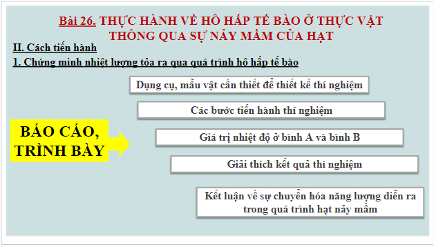 Giáo án điện tử KHTN 7 Chân trời sáng tạo Bài 26: Thực hành về hô hấp tế bào ở thực vật thông qua sự nảy mầm của hạt | PPT Khoa học tự nhiên 7