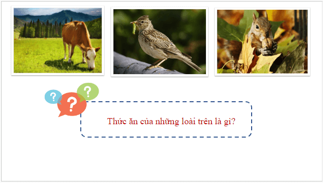 Giáo án điện tử KHTN 7 Cánh diều Bài 26: Trao đổi nước và các chất dinh dưỡng ở động vật | PPT Khoa học tự nhiên 7