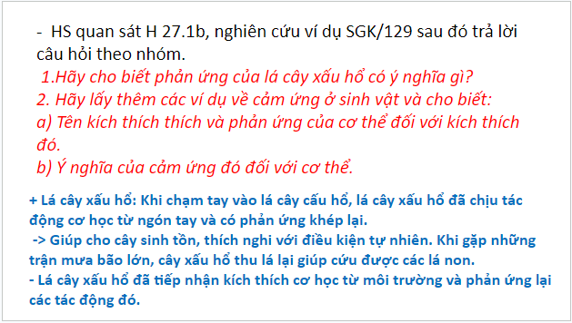 Giáo án điện tử KHTN 7 Cánh diều Bài 27: Khái quát về cảm ứng và cảm ứng ở thực vật | PPT Khoa học tự nhiên 7