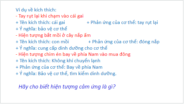 Giáo án điện tử KHTN 7 Cánh diều Bài 27: Khái quát về cảm ứng và cảm ứng ở thực vật | PPT Khoa học tự nhiên 7